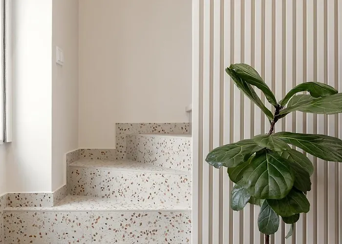 The Great Rose Retreat Nazaré