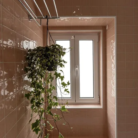 The Great Rose Retreat *