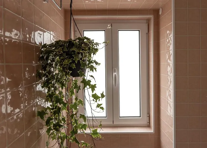 The Great Rose Retreat *